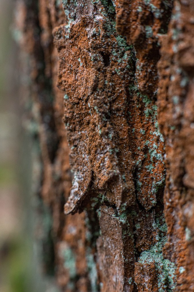 Obrazek posiada pusty atrybut alt; plik o nazwie v4a5018.jpg