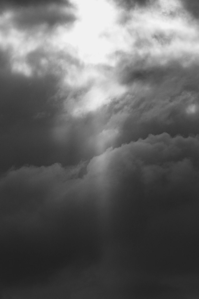 Obrazek posiada pusty atrybut alt; plik o nazwie v4a5289.jpg